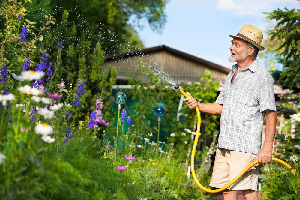 An elderly man waters his garden.