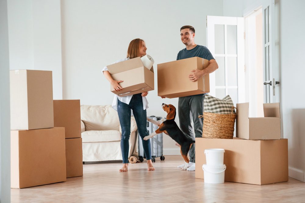 A couple and their dog are moving boxes.